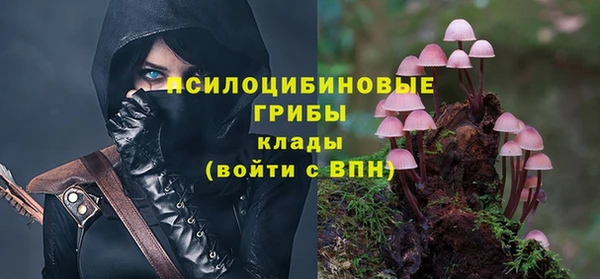 спиды Михайловск