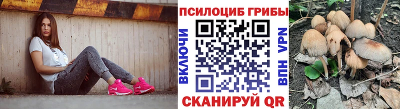 где можно купить   Лесозаводск  Псилоцибиновые грибы мицелий 